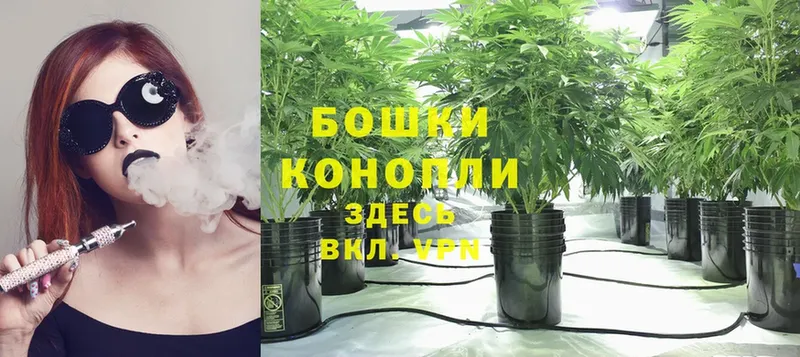 Бошки Шишки LSD WEED  Костомукша 